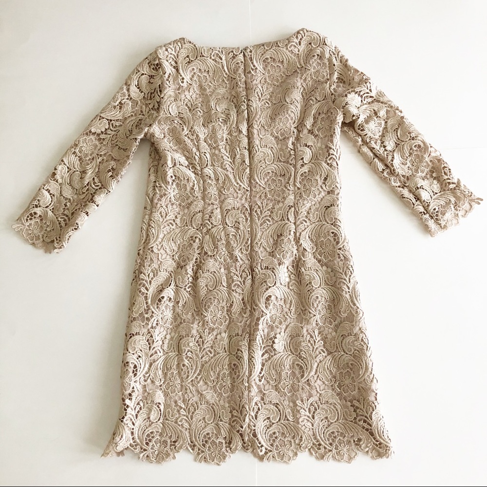 White House Black Market Lace Cocktail Dress Sz 0 - Picture 5 of 10
